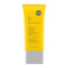 Dr Dennis Gross All Physical Dark Spot Sun Defense SPF 50
